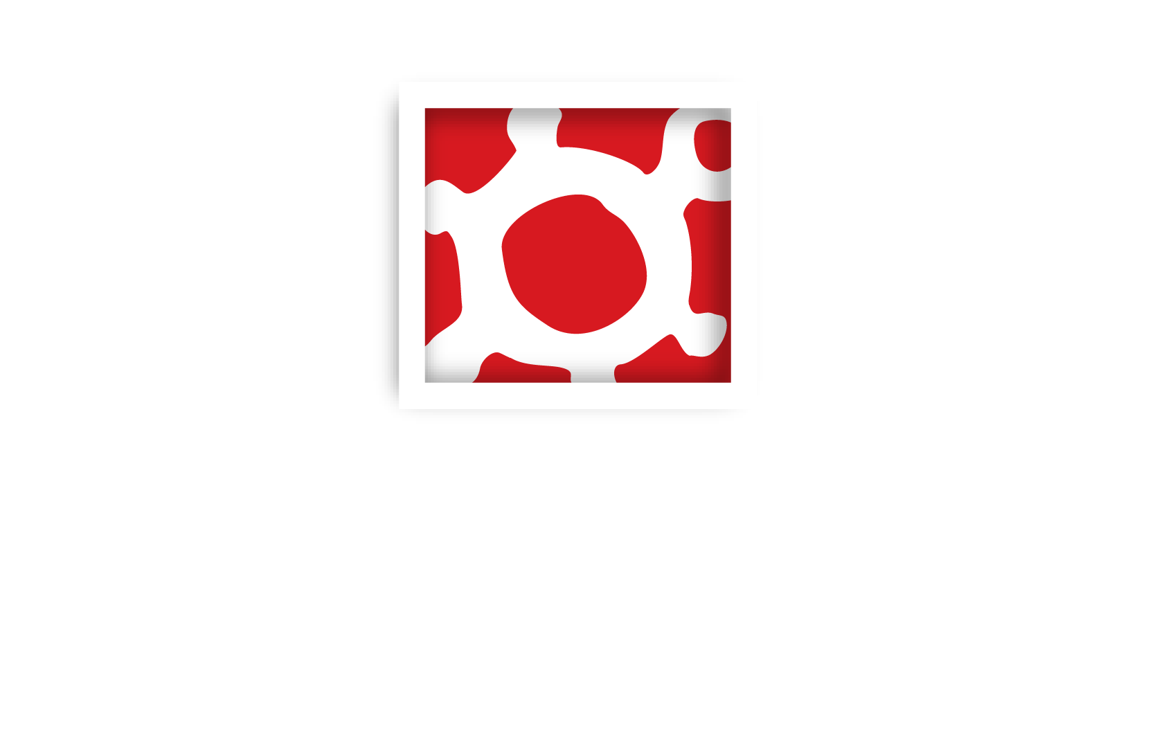 Piceni TV